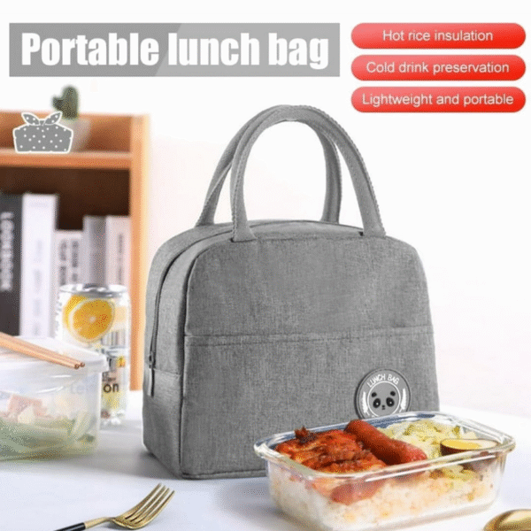 Hot And Cold Portable Lunch Bag