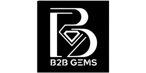 b2bgems-brand-logo-tryit